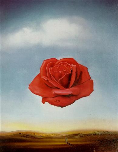 Meditative Rose - Salvador Dali