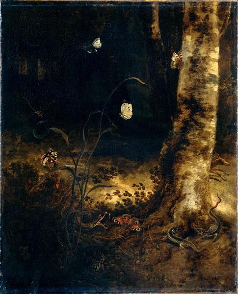 Sol de forêt avec un serpent, lézards, papillons et autres insectes, 1678 - Otto Marseus van Schrieck