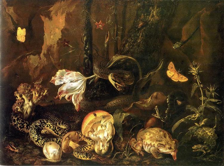 Still Life with Snakes, Frogs, Mushrooms, Flowers and Butterflies, 1662 - Otto Marseus van Schrieck