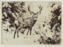 Mule Deer - Carl Rungius