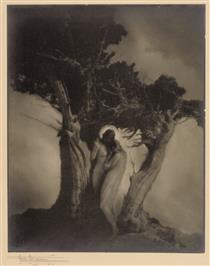 The Heart of the Storm - Anne Brigman