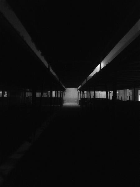 The marketplace at night, 2015 - Альфред Фредді Крупа