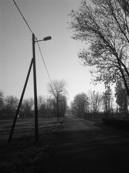 Morning shadows, 2013 - Альфред Фредді Крупа