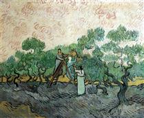 El Olivar - Vincent van Gogh