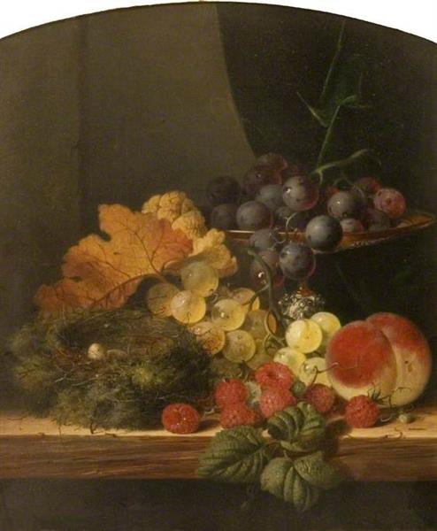 Still Life with Fruit and a Bird's Nest - Edward Ladell
