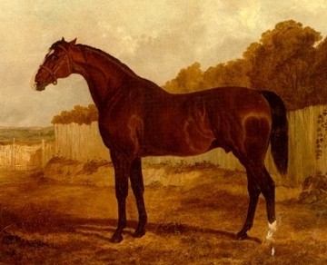 Painting of Blacklock, 1825 - John Frederick Herring Sr.