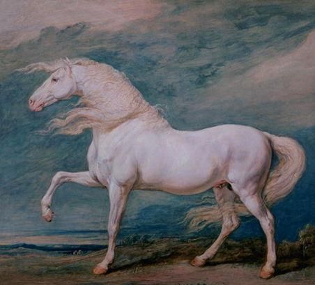 Adonis, a White Stallion - James Ward