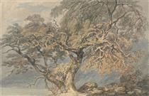 A Great Tree - J.M.W. Turner