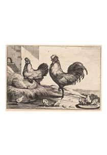 The Cock - Wenceslas Hollar