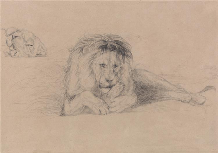 Study of a Lion and Study of a Lioness' Head, c.1820 - John Frederick Lewis