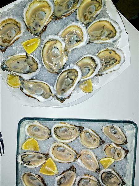 Oysters, 2011 - 2015 - Элина Бразерус