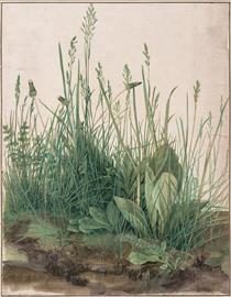 Das große Rasenstück - Albrecht Dürer
