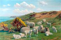 Sheep - William Sidney Cooper
