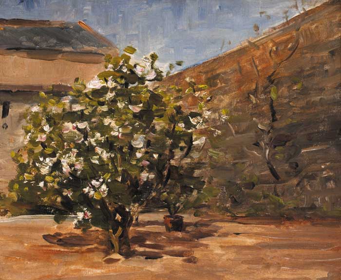 STUDY. TREE IN COURTYARD - Nathaniel Hone the Younger