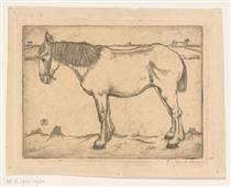 Horse - Jan Mankes