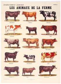 The Farm Animals - Марсель Бротарс