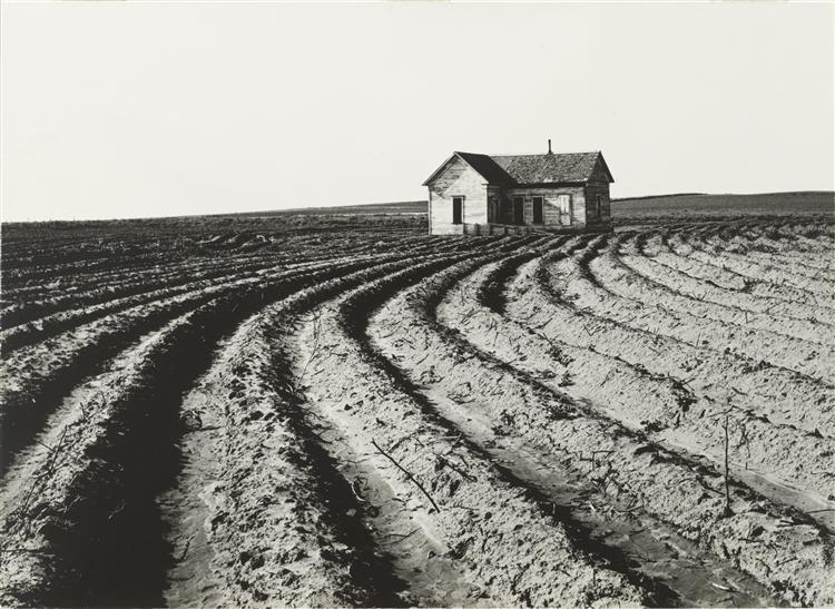 Tractored Out, Childress County, Texas, 1938 - 多萝西·兰格