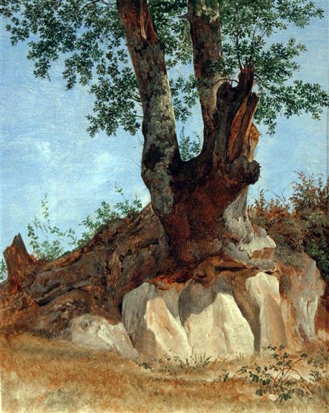 A Tree in the Campagna, 1822 - Heinrich Reinhold