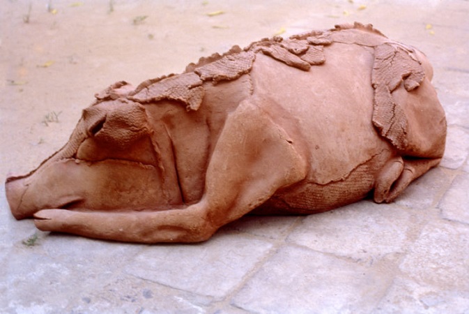 Sleeping Pig, 1985 - Pushpamala N