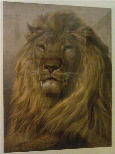 Lion head, 1884 - Filippo Palizzi