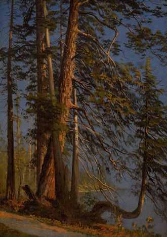 Park at Vancouver, c.1889 - Albert Bierstadt