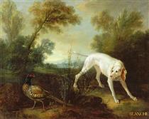 Blanche, Bitch of the Royal Hunting Pack - Jean-Baptiste Oudry