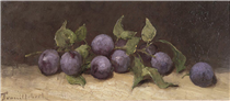 Still life with plums - Paul Trouillebert