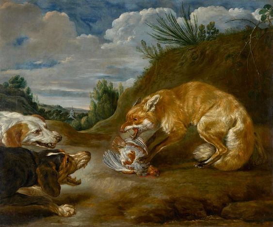 Fox and pair of dogs fighting over the prey - Paul de Vos