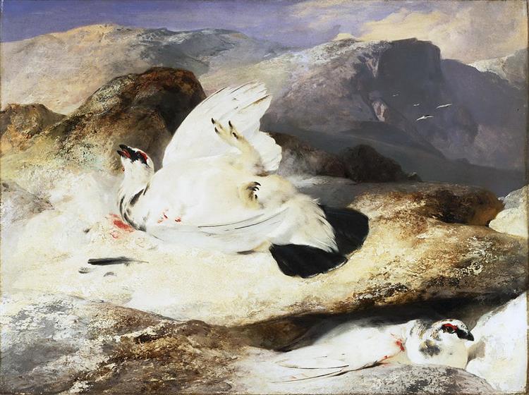 Ptarmigan in a Landscape - Edwin Henry Landseer