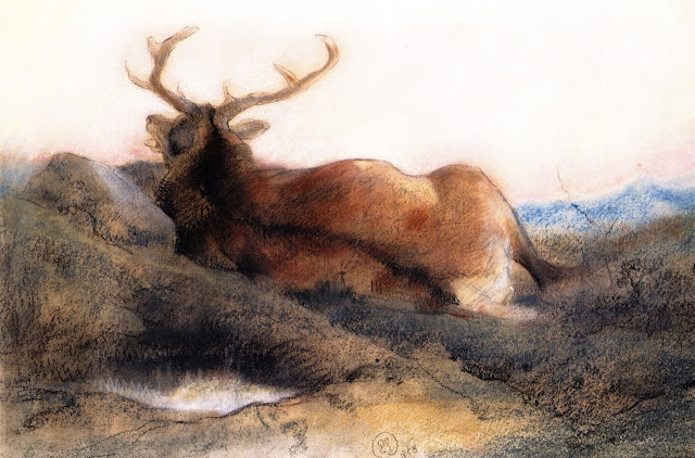 A Stag at Tarbet - Edwin Landseer