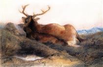 A Stag at Tarbet - Edwin Henry Landseer