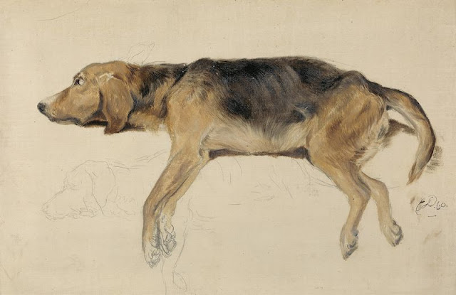 Study of a Dog Lying Down - Edwin Henry Landseer