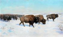 Bison in the Snow - Rosa Bonheur