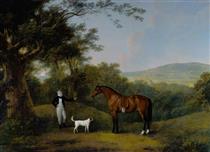 Portrait of a Boy, a Terrier and a Chestnut Pony Boultbee - John Boultbee