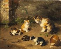 Cats observing a tortoise - Brunel Neuville