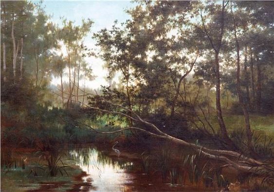 A heron in a forest pond - Louwrens Hanedoes