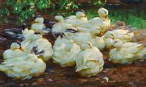White Ducks by a Pond - Alexander Koester