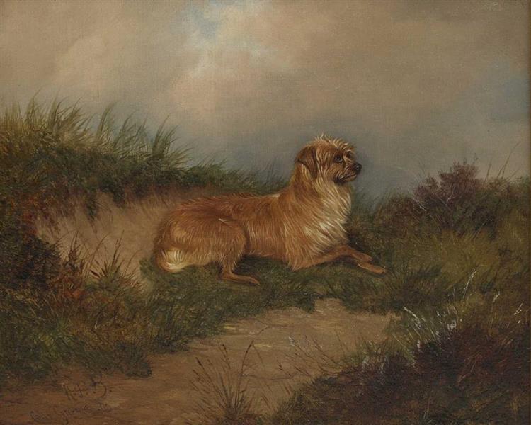 A Norfolk terrier sitting on a grassy bank - Colin Graeme Roe