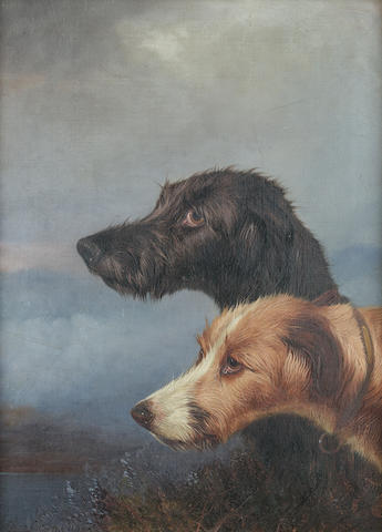 Two Deerhounds - Colin Graeme Roe