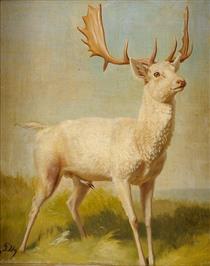 White deer - Johannes Christian Deiker