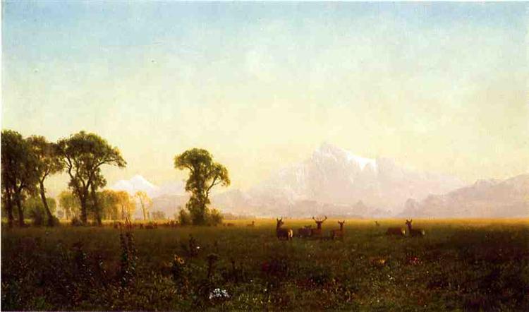 Deer Grazing, Grand Tetons, Wyoming, 1861 - 阿爾伯特·比爾施塔特