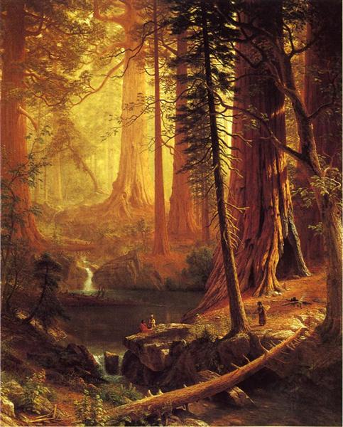 Giant Redwood Trees of California, 1874 - 阿爾伯特·比爾施塔特