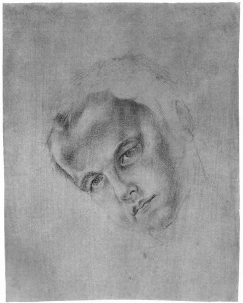 Head of a boy - Albrecht Dürer