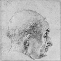 Head of a Pope - Albrecht Dürer