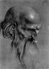 Head of an apostle - Albrecht Dürer
