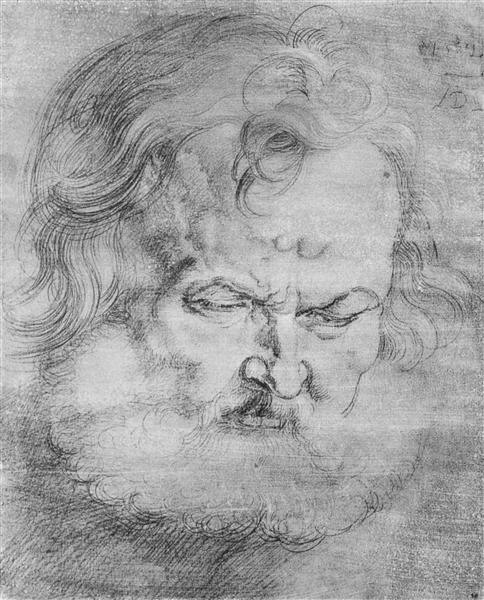 Head of Peter, 1526 - Альбрехт Дюрер
