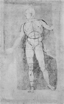 Male Nude (Adam) - Albrecht Durer