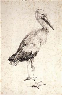The Stork - Альбрехт Дюрер