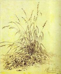 Grass - Aleksander Orłowski
