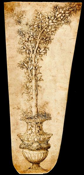 Vase with Orange, 1490 - 安德烈亞‧曼特尼亞